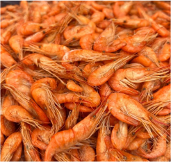 Рыбачка Соня