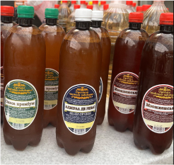 Рыбачка Соня