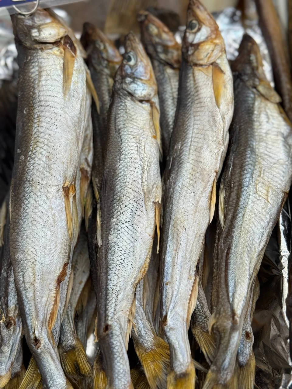 Корюшка - крупная