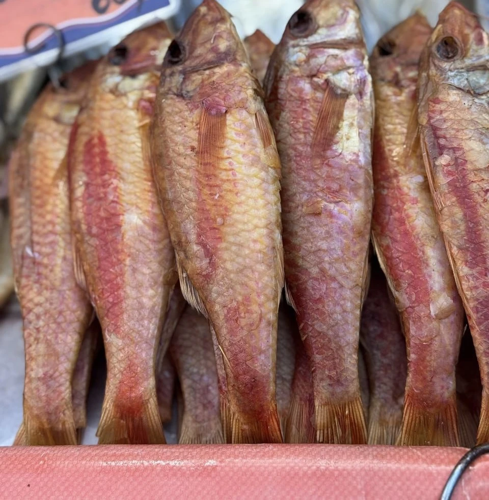 Барабулька х/к 