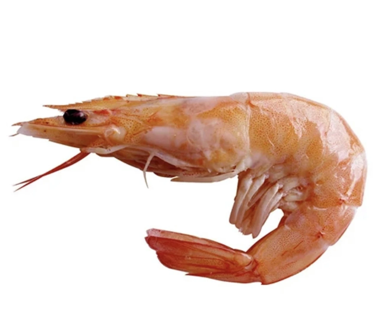 Креветка вареная