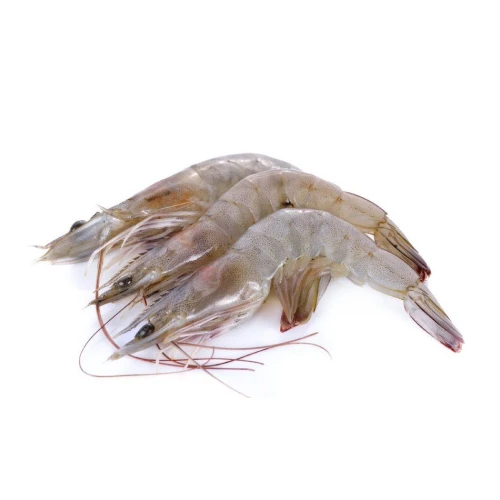 Креветка королевская сырая