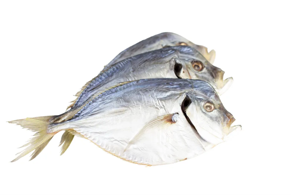 Вомер вяленый