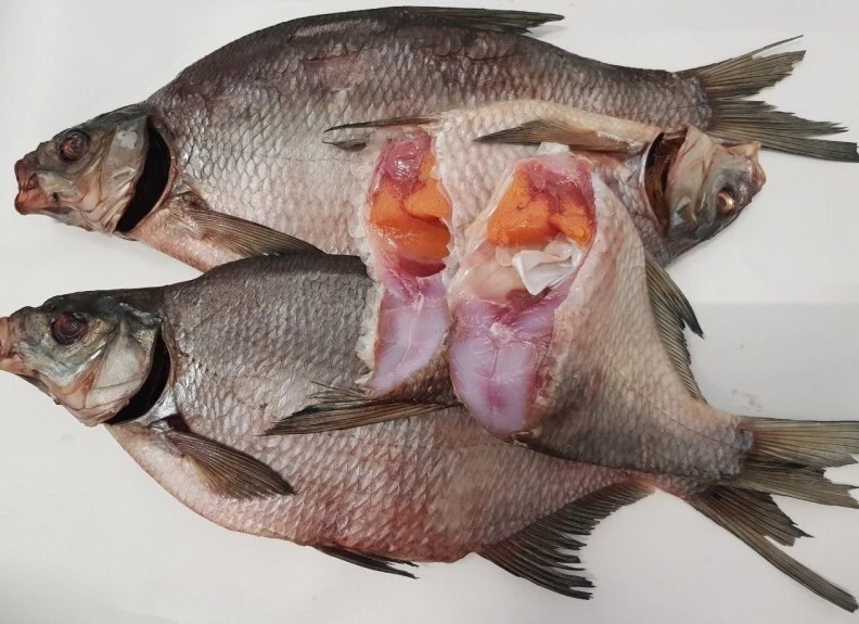 Лещ вяленый с икрой