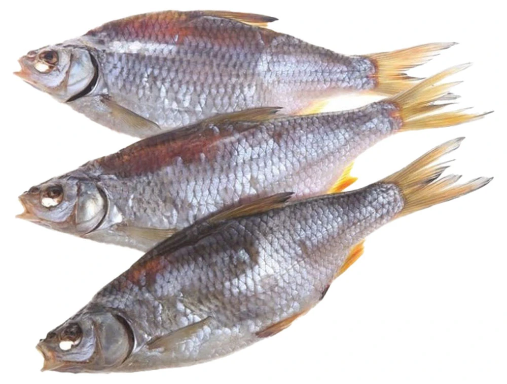 Тарань вяленая кременчугская (с икрой)