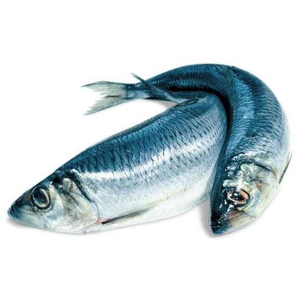 Селедка малосол. с Привоза