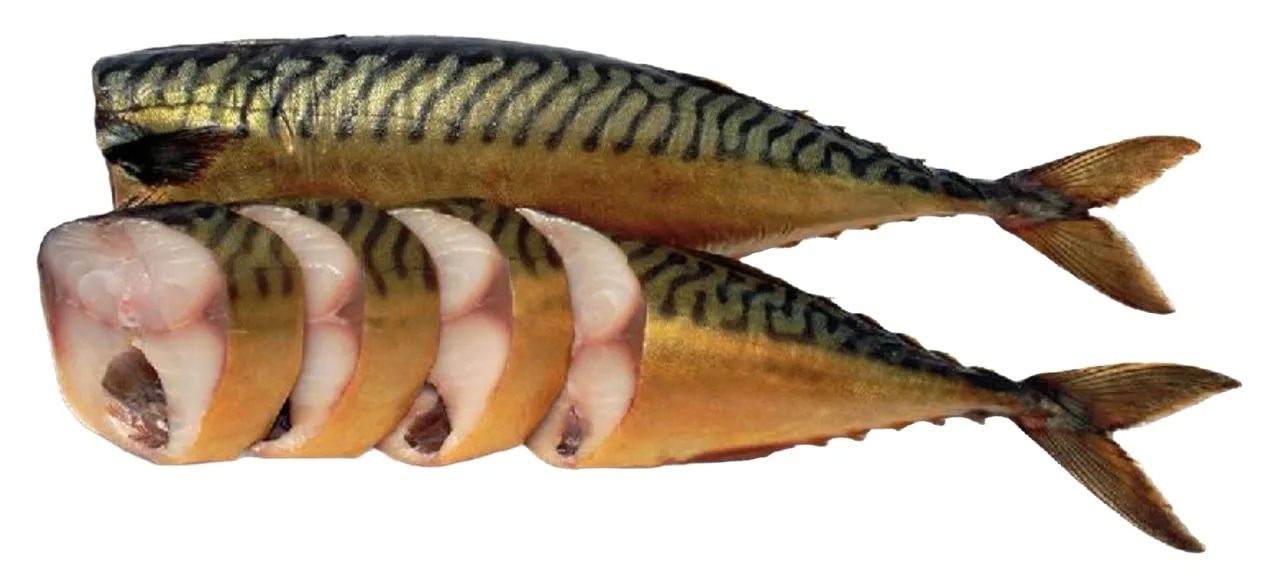 Скумбрия холодного копчения